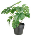 Kunstig monstera plante i potte H32 cm indendørs - DAY